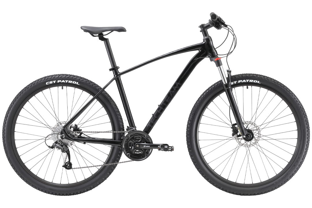 lavina-29-s-1