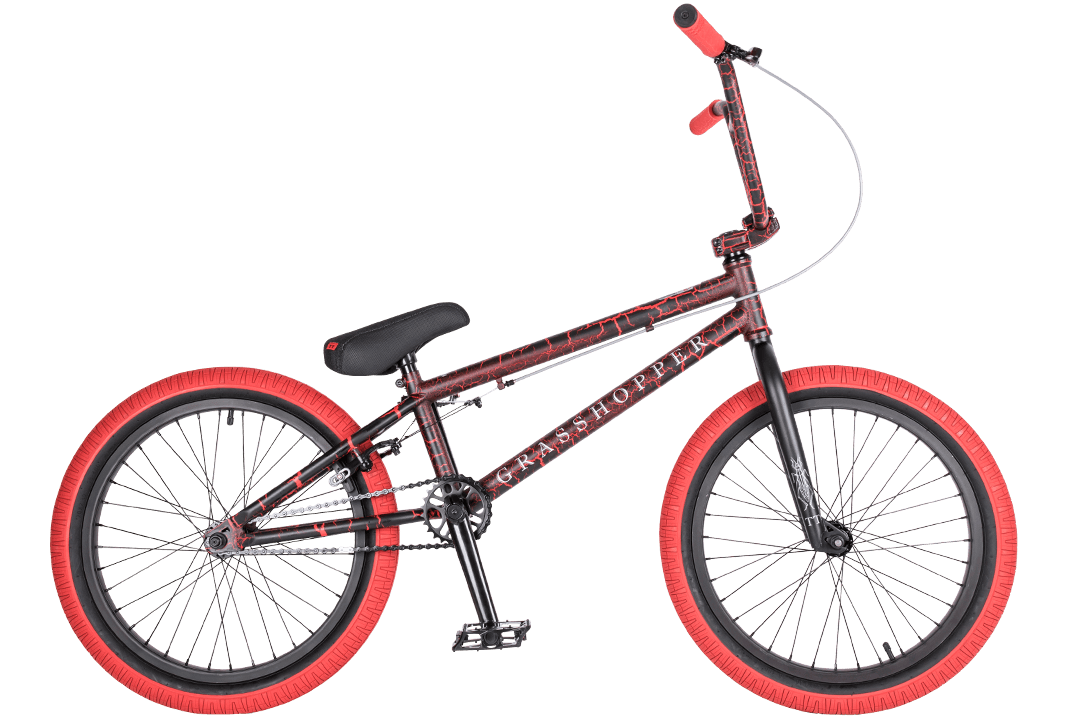 grasshopper-red-1