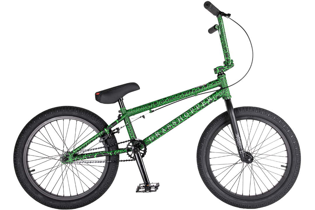 grasshopper-2
