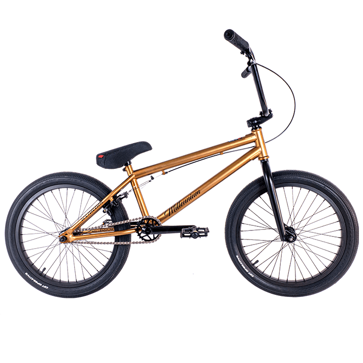 millennium-bronze-1