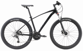 Lavina 275