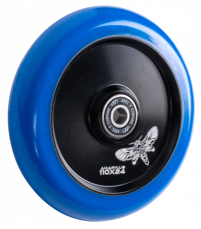 Amarillis-blue-110-2 (1) Amarillis-blue-110-2 (1)